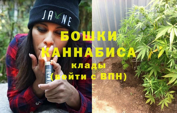PSILOCYBIN Богданович