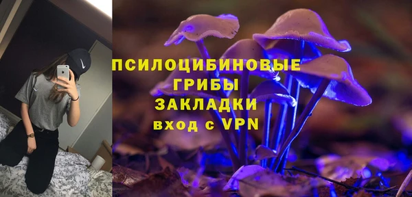 PSILOCYBIN Богданович