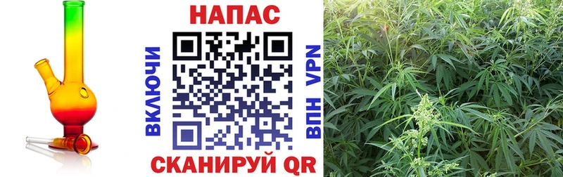 hydra ссылки  Дальнегорск  МАРИХУАНА марихуана 